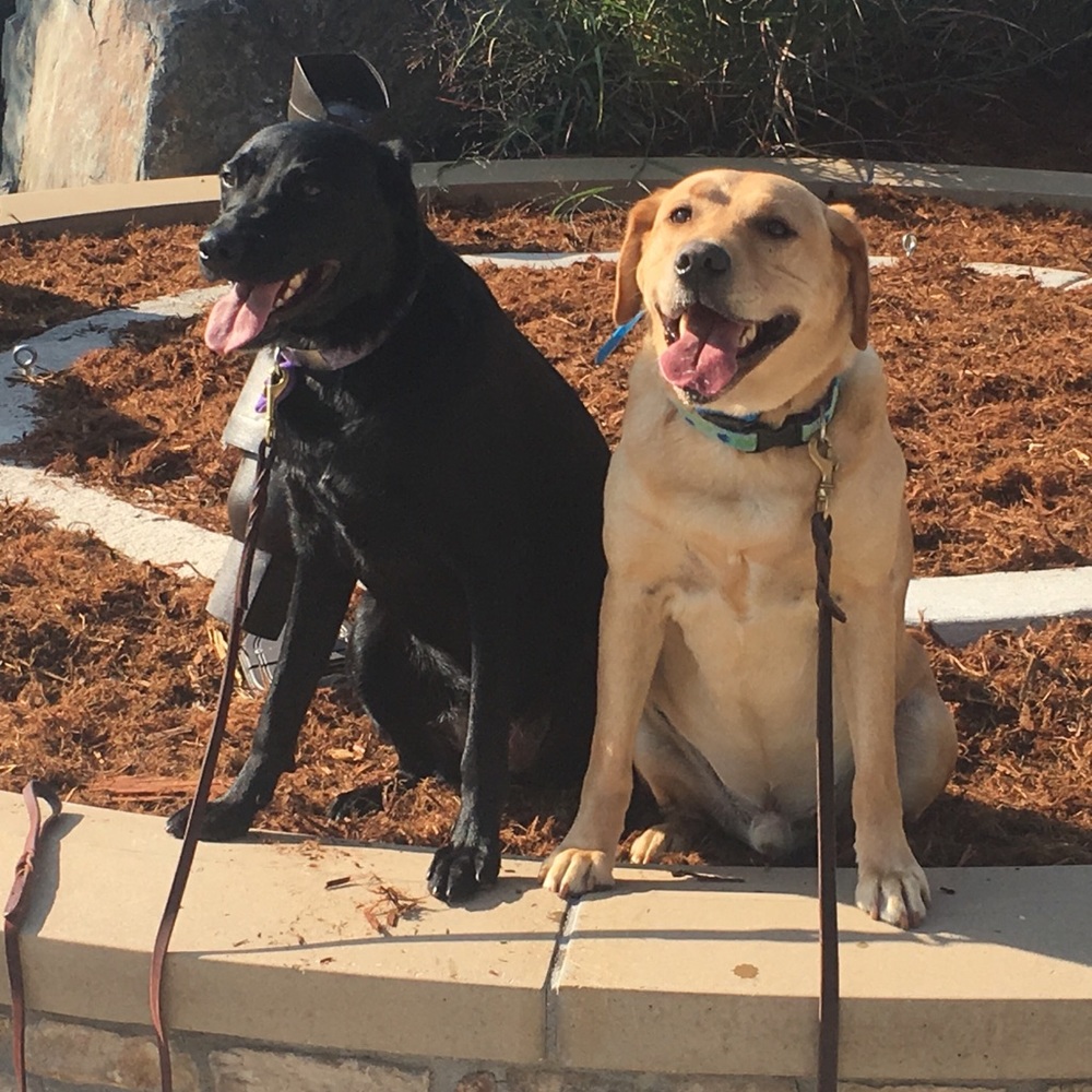 Meet your Posher, Wes